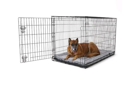 Pets home single - pets, at