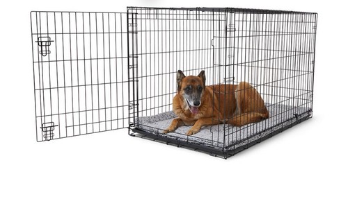 Pets home single - pets,