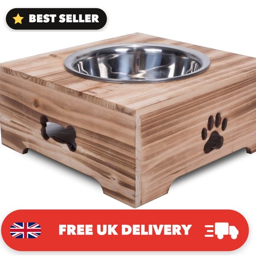 Dog food feeding - dog, stand