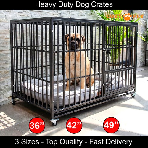 Cozy pet heavy - cozy, dog